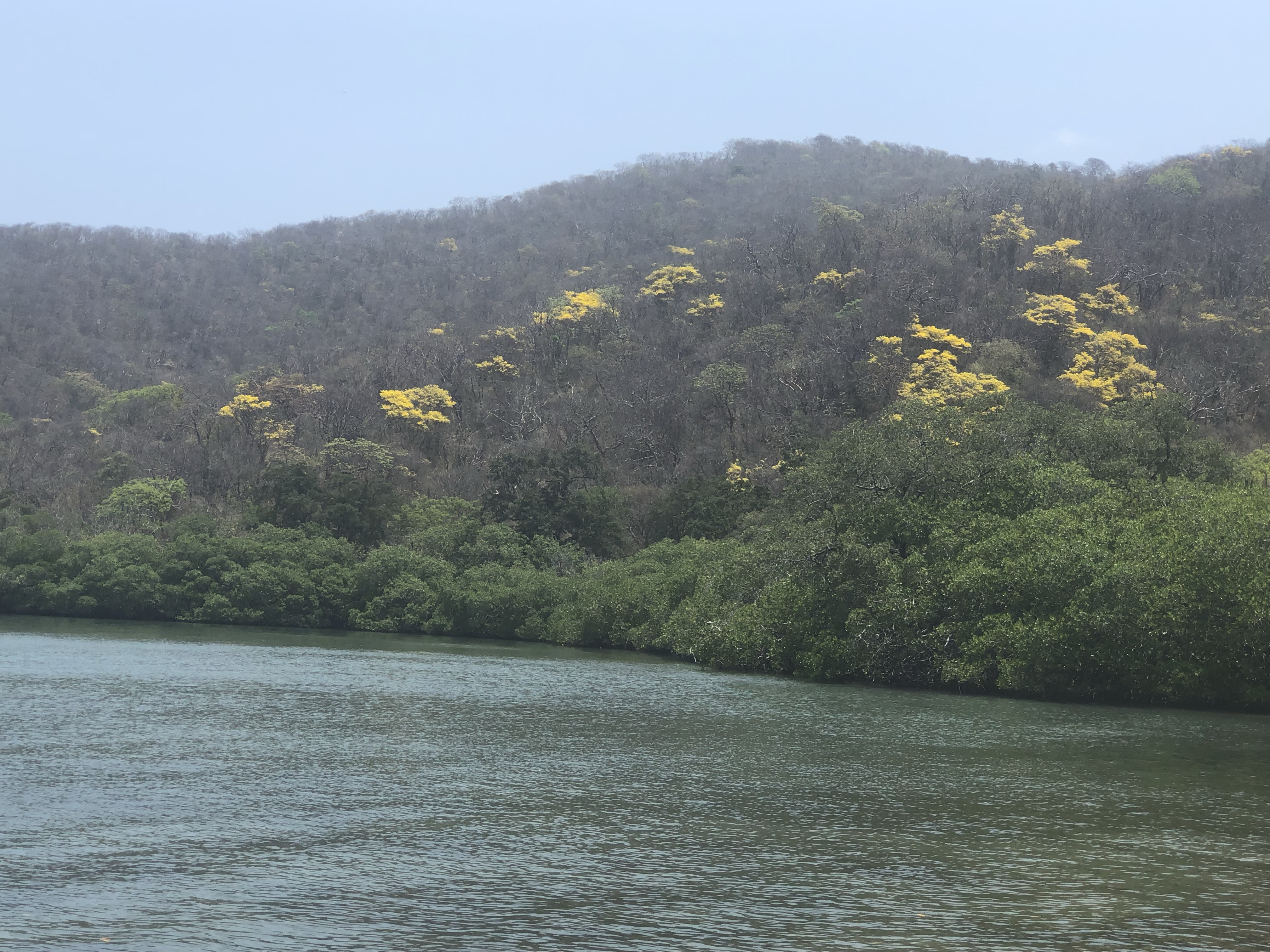 Tayrona National Park